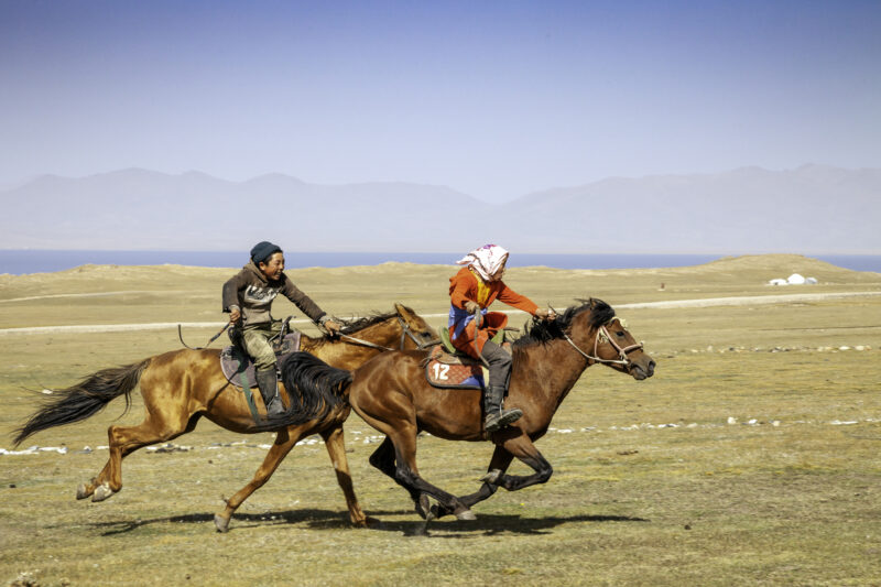 Grange à Emile : De la traite au galop