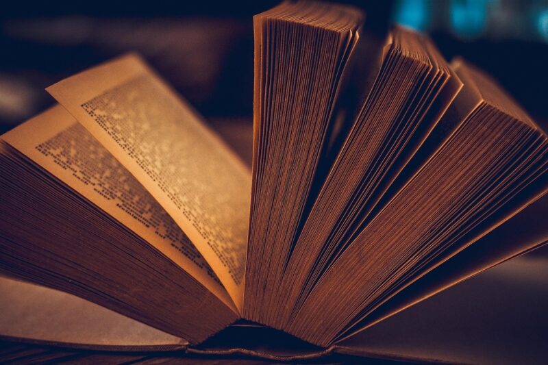 Librairie du Baobab : dédicaces pour les enfants