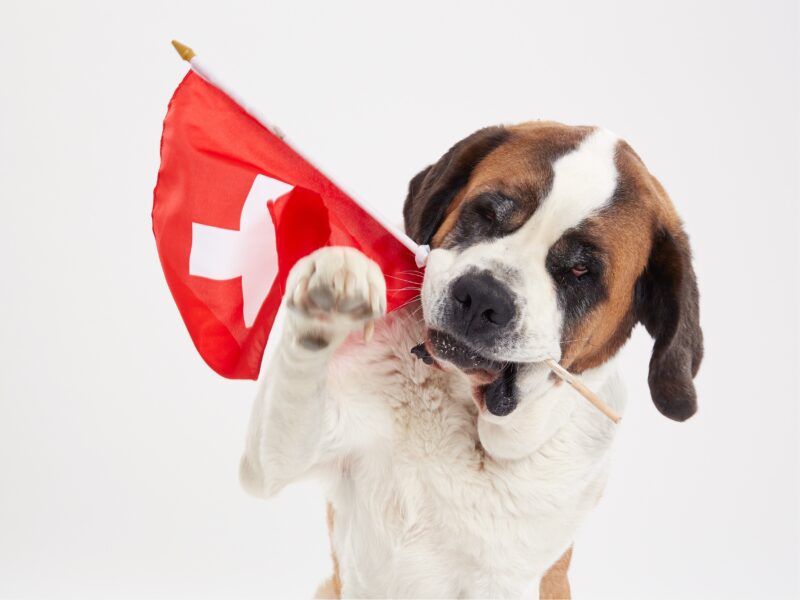 Barryland : Atelier pour les enfants