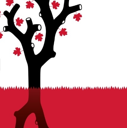 Médiathèque Valais-Martigny : l'arbre, de la petite graine à la vielle branche !