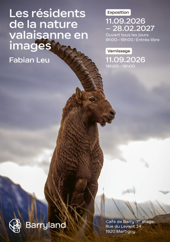 Café de Barry : «Les résidents de la nature valaisanne en images» par Fabian Leu