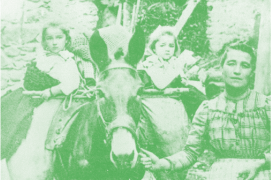 Médiathèque Valais – Martigny: Domestiques photogéniques