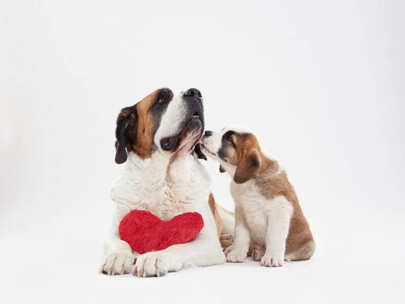 Barryland : Atelier de peinture