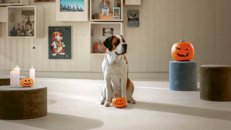Barryland : Halloween