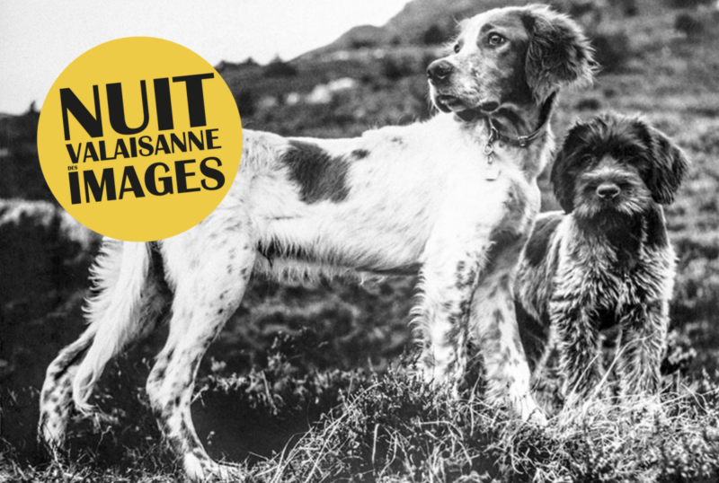 Place du Manoir : Quels Chiens ! de Renée Chappaz-Peiry