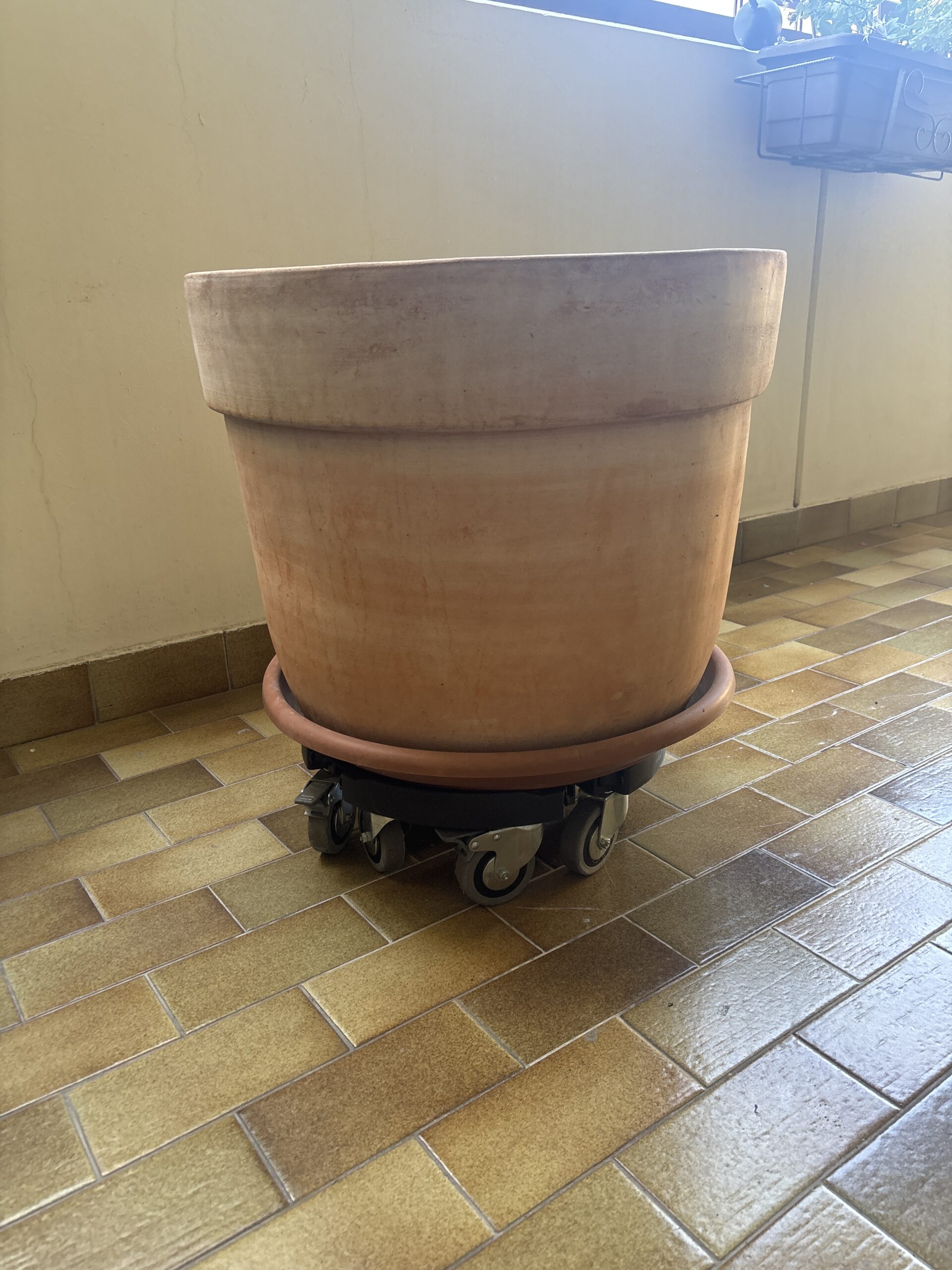 image-11.jpg