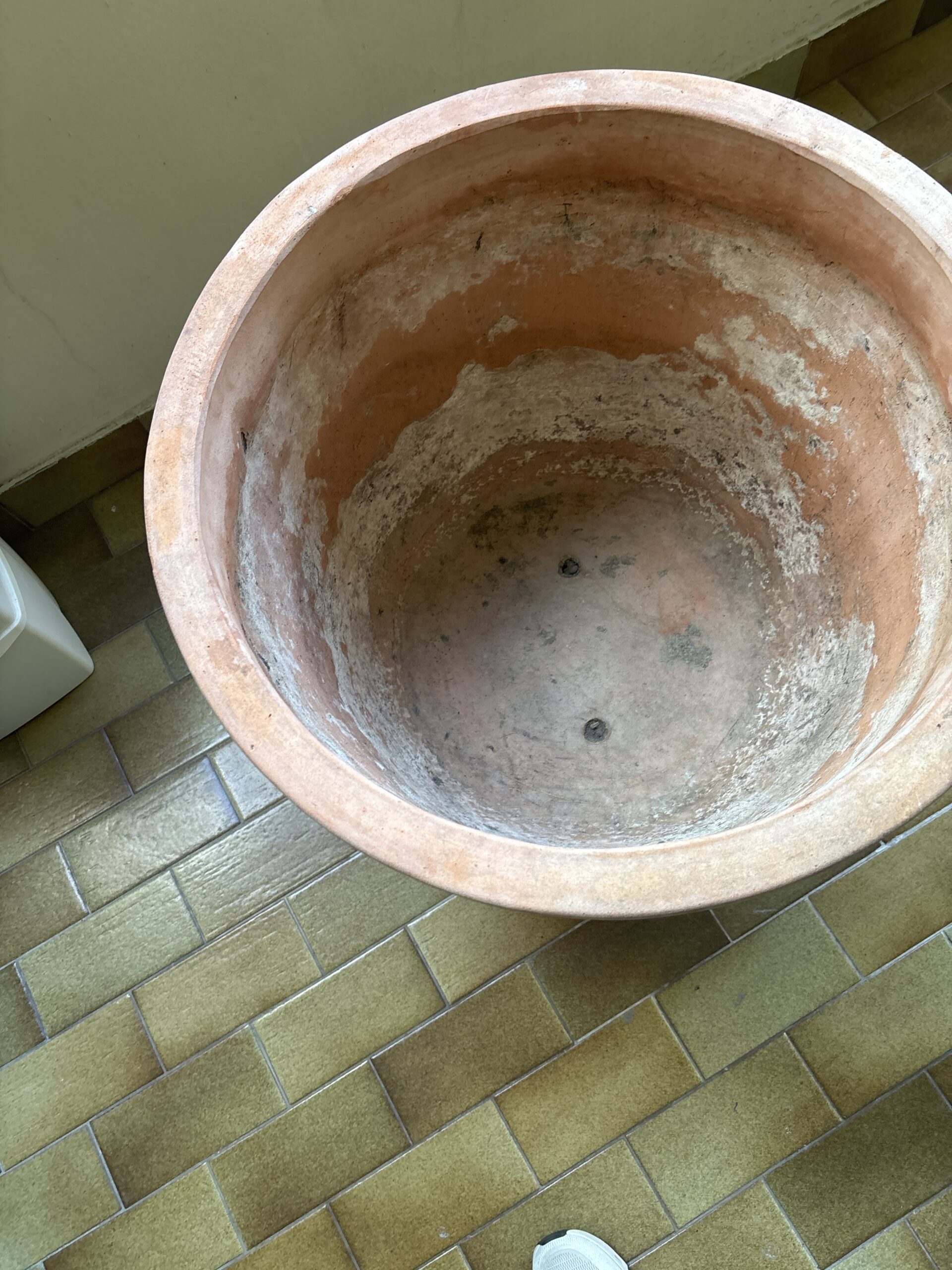 image-12.jpg