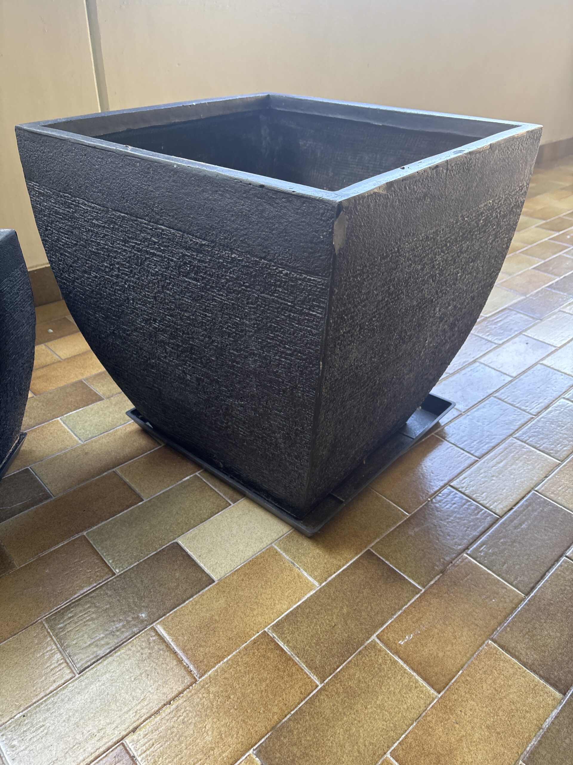 image-14.jpg